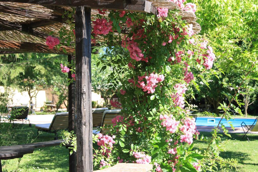 Villa Belfiore Ostellato Zewnętrze zdjęcie